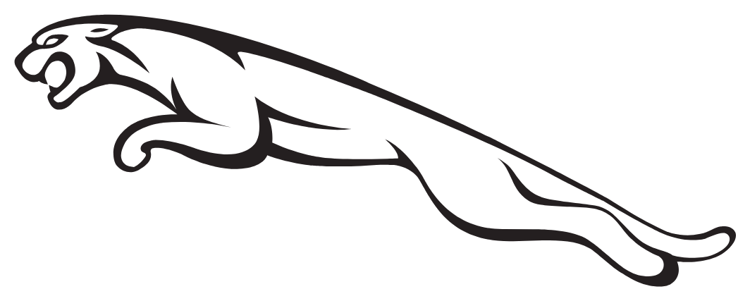 Mystery Brand