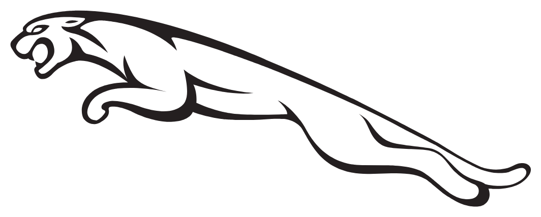 Mystery Brand