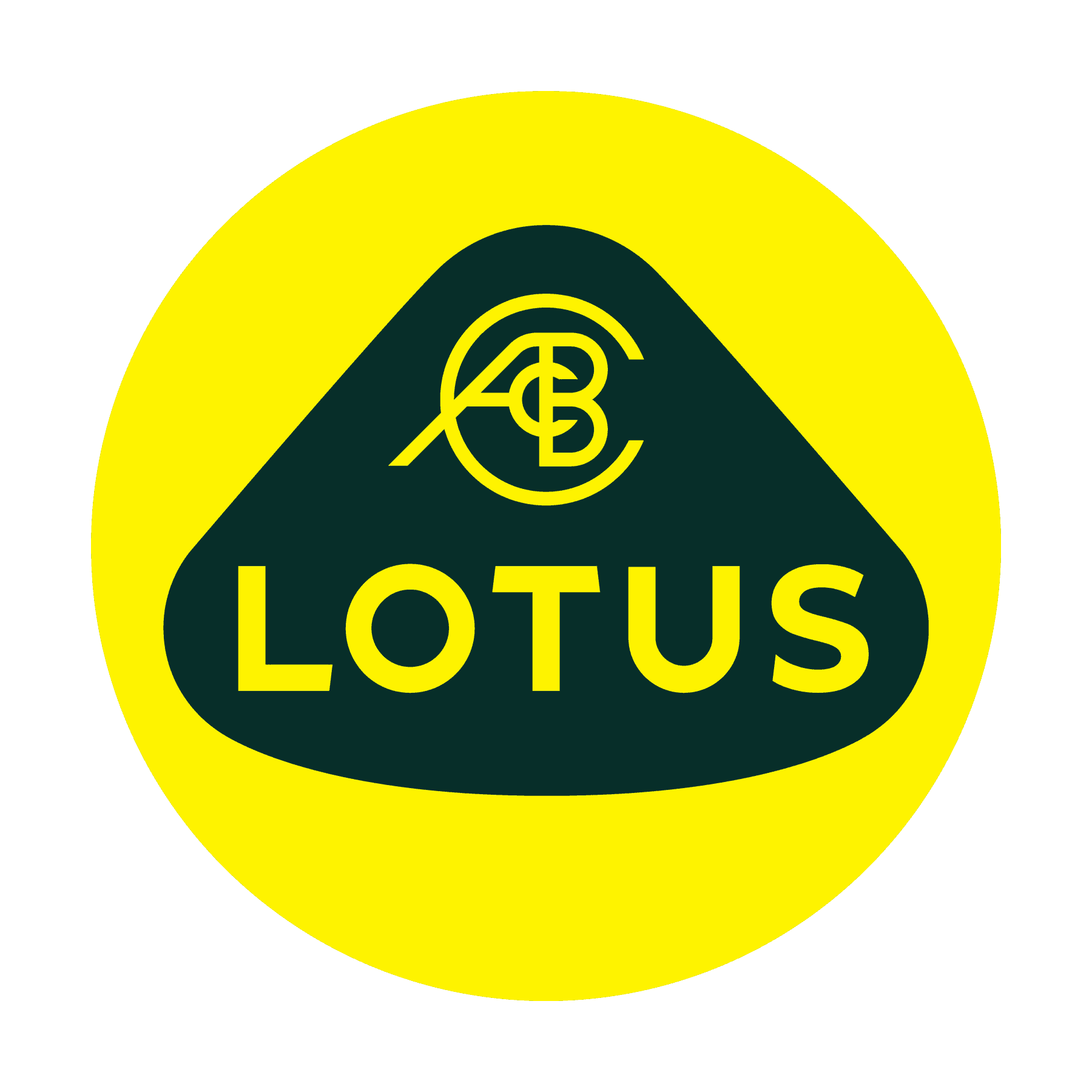 Mystery Brand