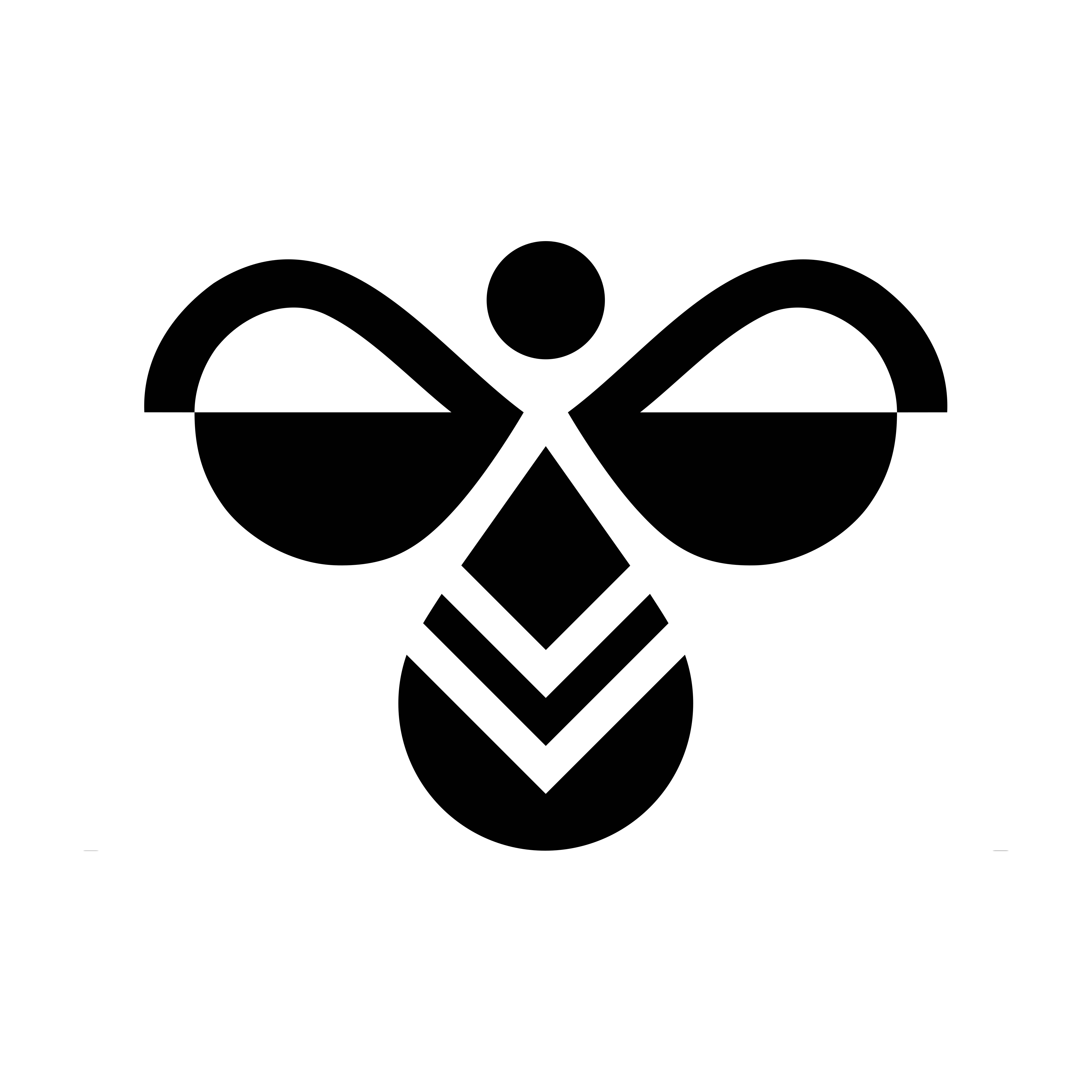 Mystery Brand