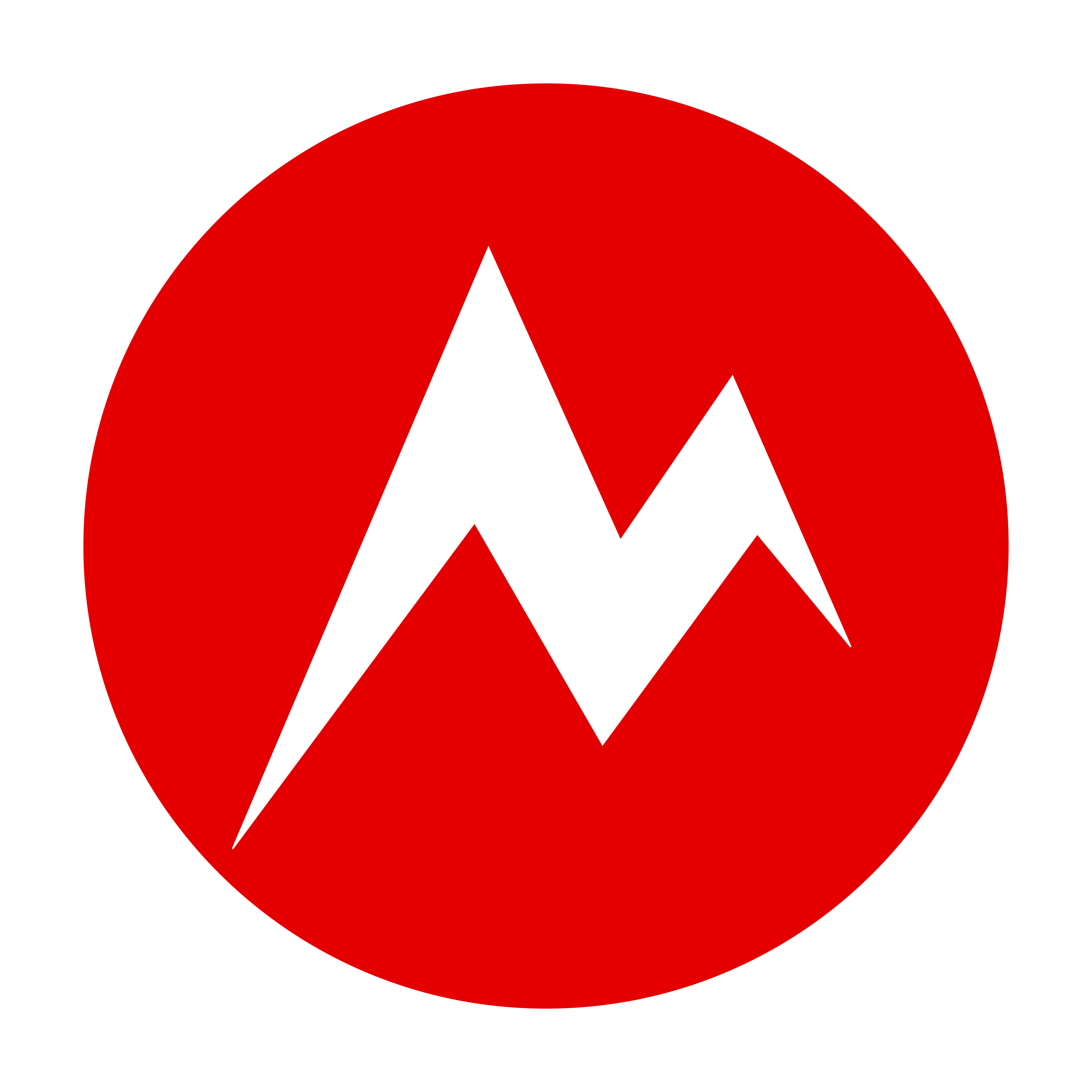 Mystery Brand