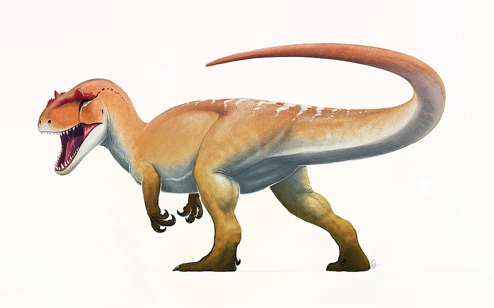 Mystery Dinosaur