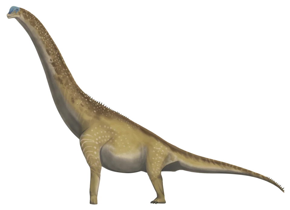 Mystery Dinosaur
