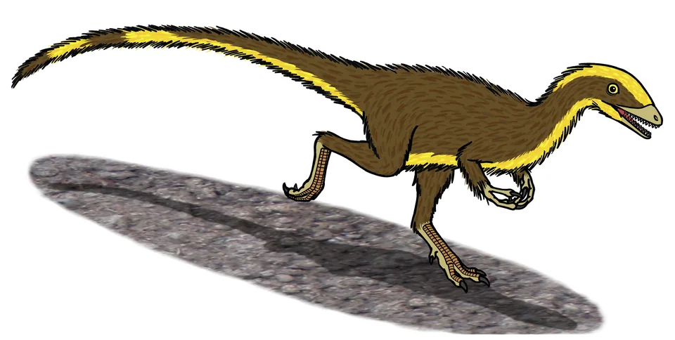 Mystery Dinosaur