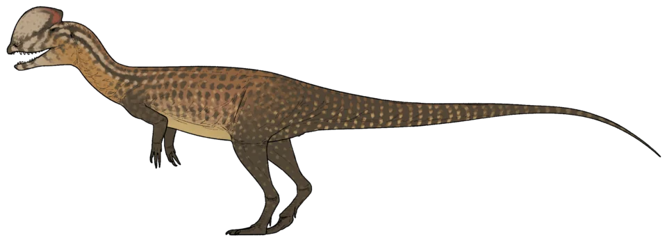 Mystery Dinosaur