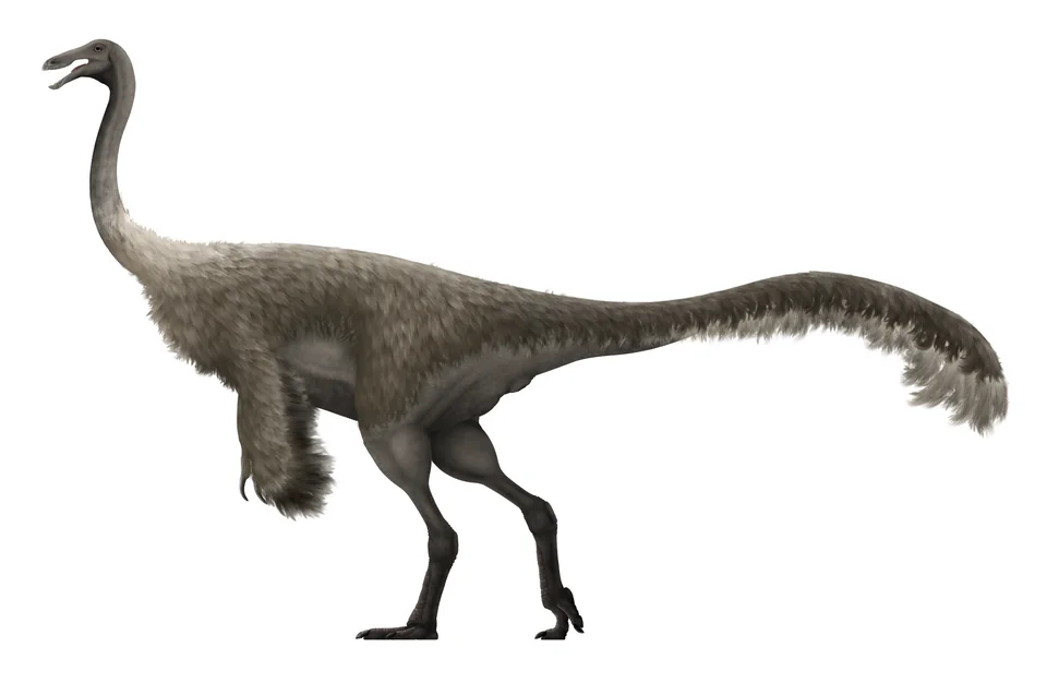 Mystery Dinosaur