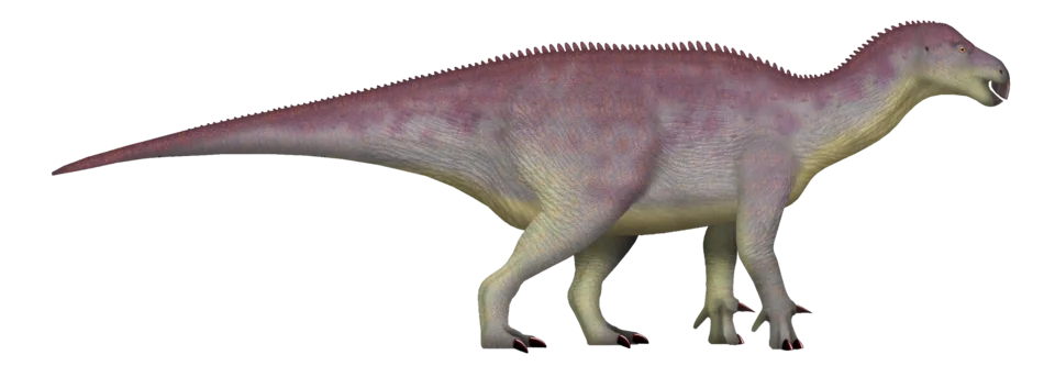 Mystery Dinosaur