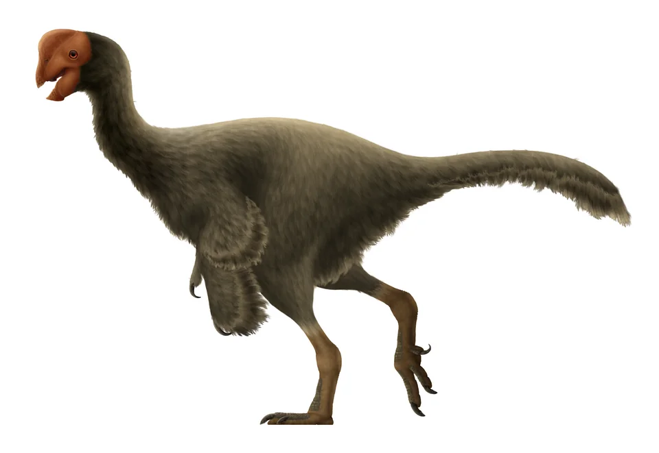 Mystery Dinosaur