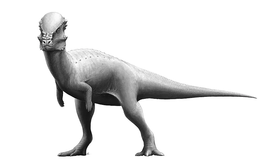 Mystery Dinosaur