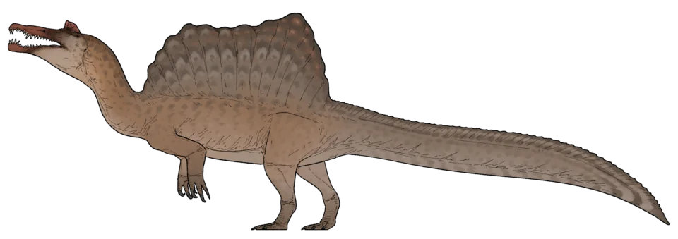 Mystery Dinosaur