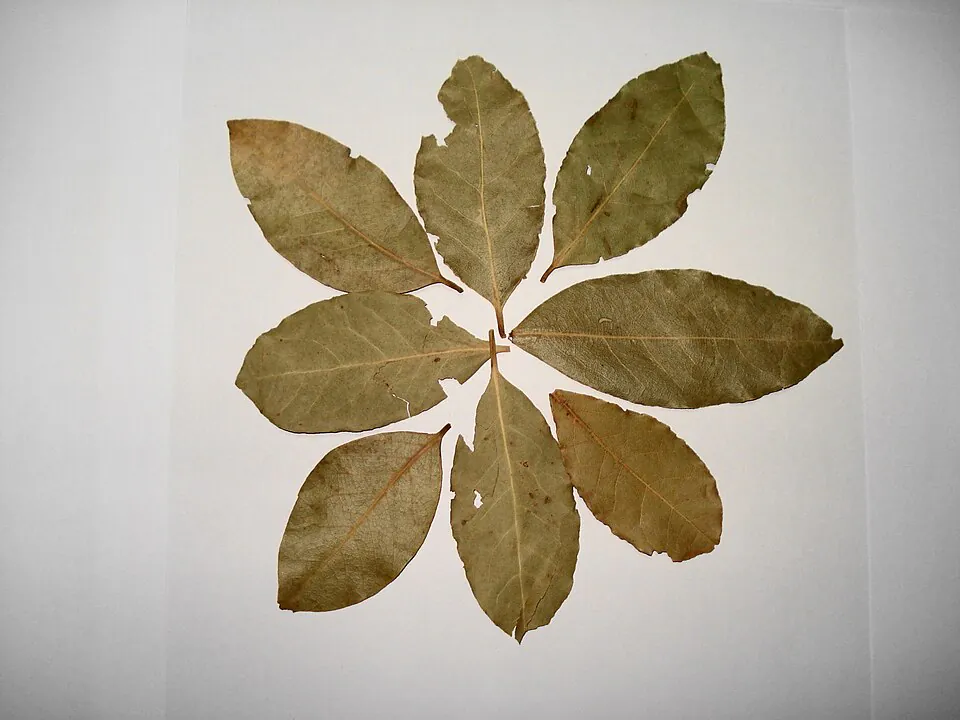 Mystery Herb
