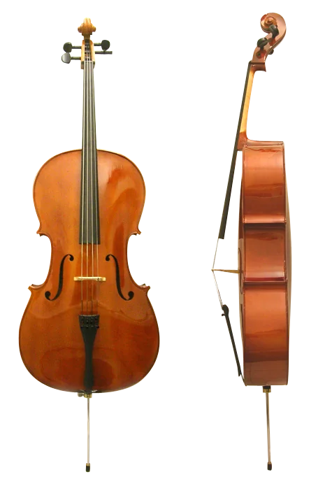 Mystery Instrument