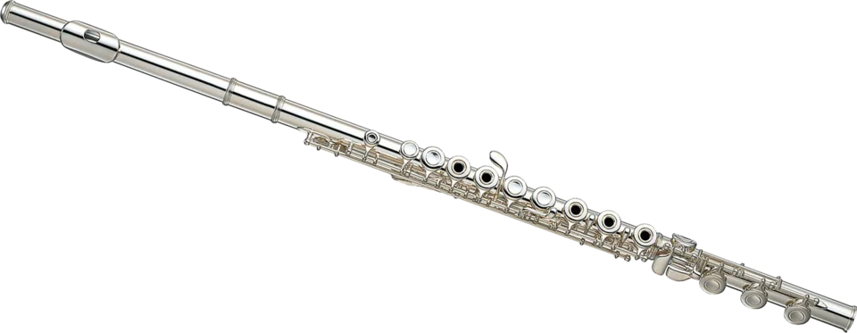 Mystery Instrument