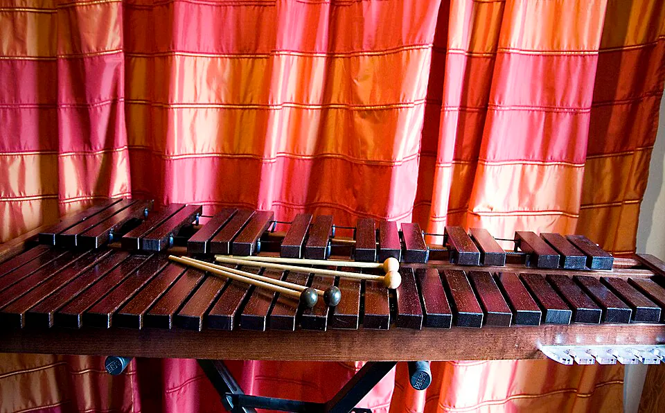 Mystery Instrument