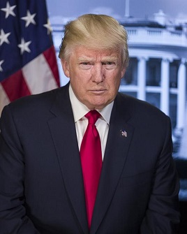 Mystery President