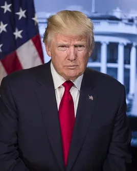 Mystery President