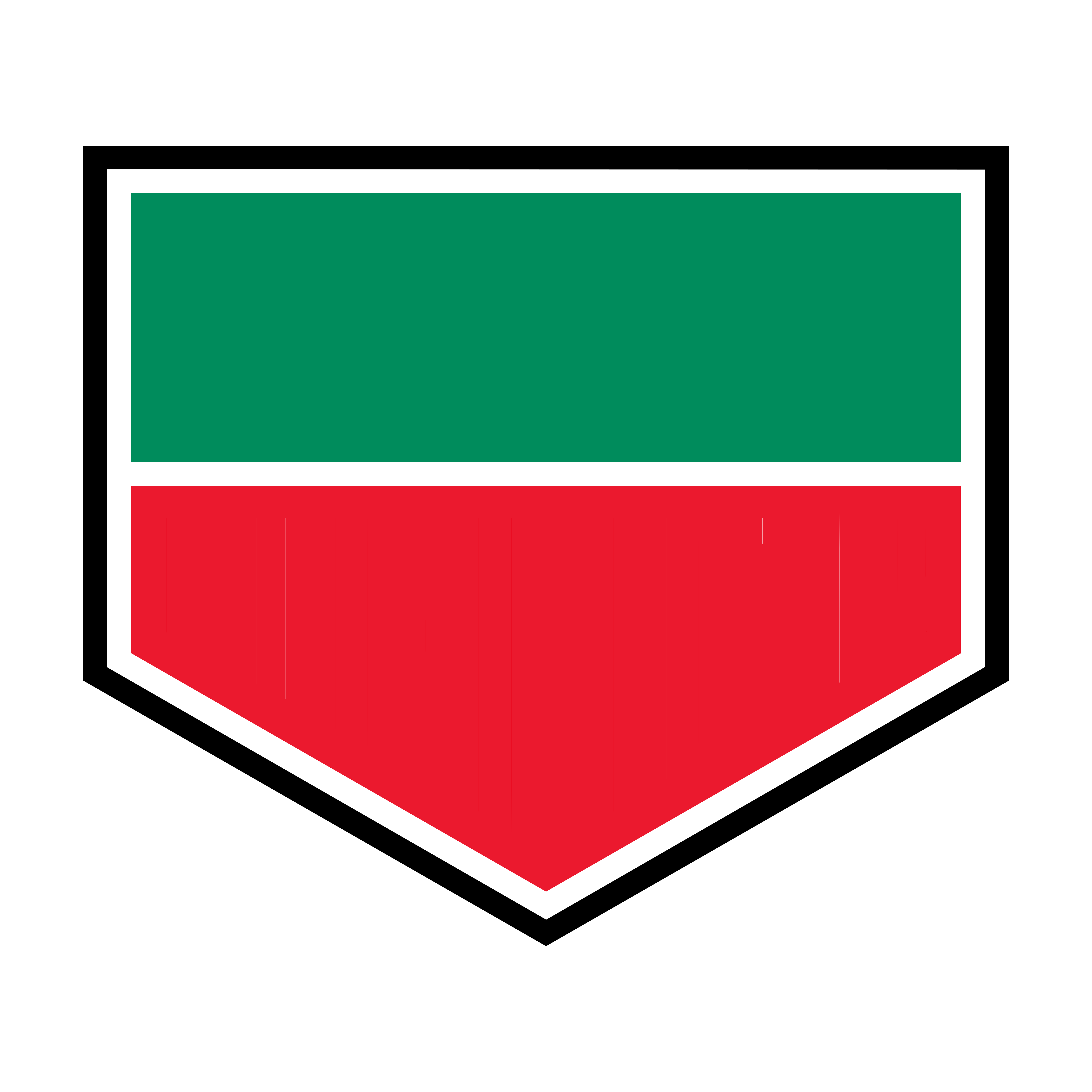 Mystery Brand